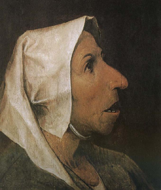 Pieter Bruegel Portrait of woman Germany oil painting art